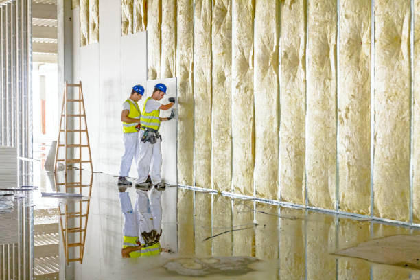 Best Insulation for Metal Buildings  in Williamsburg, VA